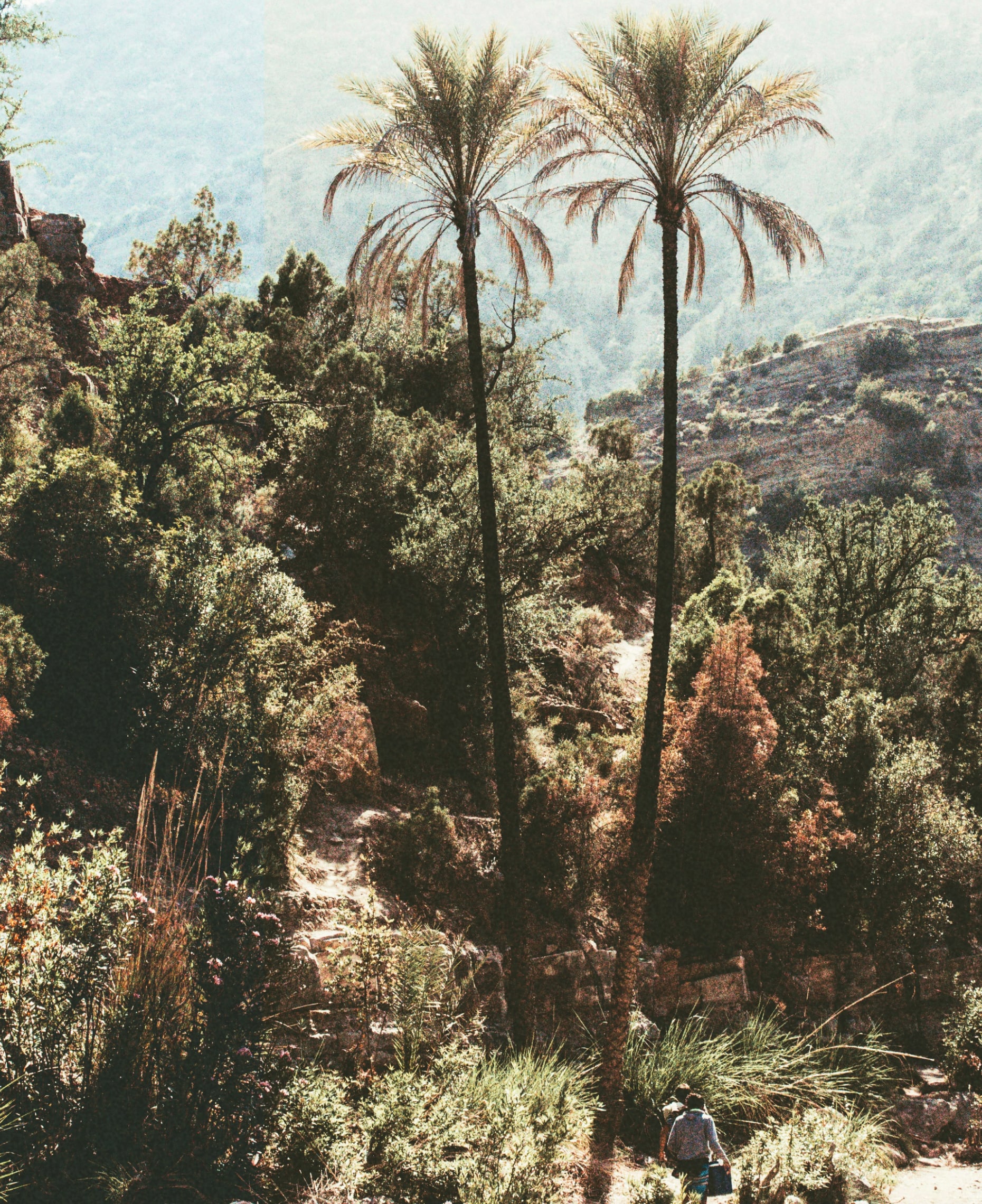 Paradise Valley, Agadir, Morocco